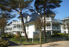 Strandläufer im Haus Strelasund